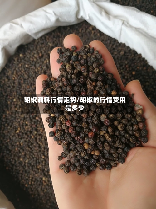 胡椒调料行情走势/胡椒的行情费用是多少
