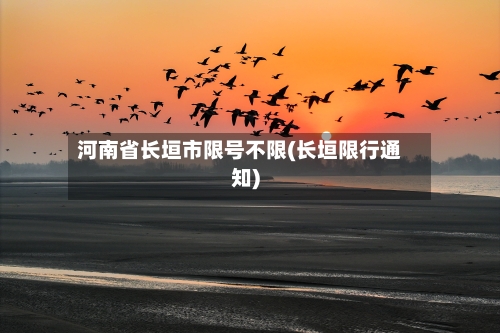 河南省长垣市限号不限(长垣限行通知)