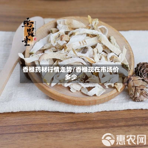 香橼药材行情走势/香橼现在市场价多少