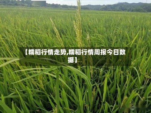 【糯稻行情走势,糯稻行情周报今日数据】