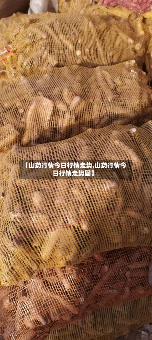 【山药行情今日行情走势,山药行情今日行情走势图】