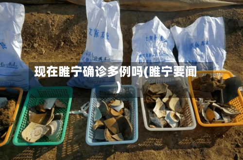 现在睢宁确诊多例吗(睢宁要闻)