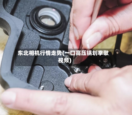 东北相机行情走势(一口高压锅划拳歌视频)