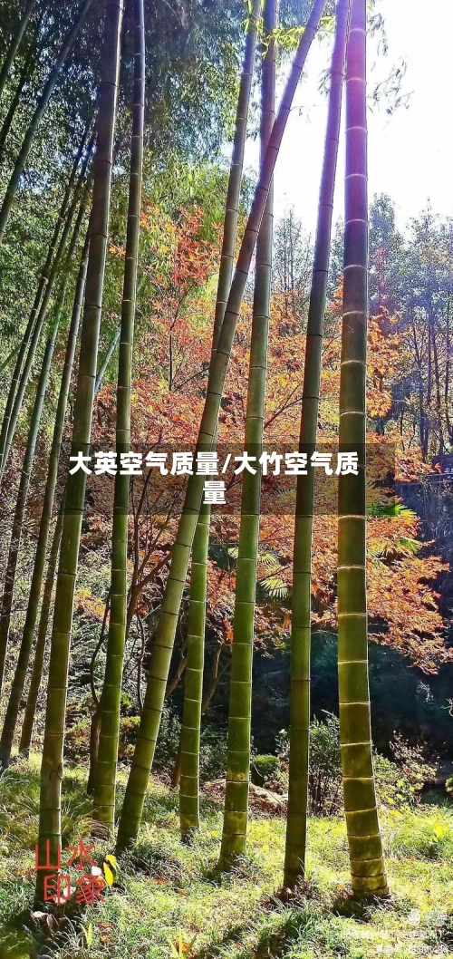 大英空气质量/大竹空气质量