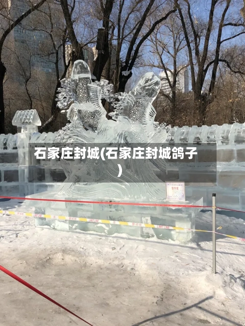 石家庄封城(石家庄封城鸽子)