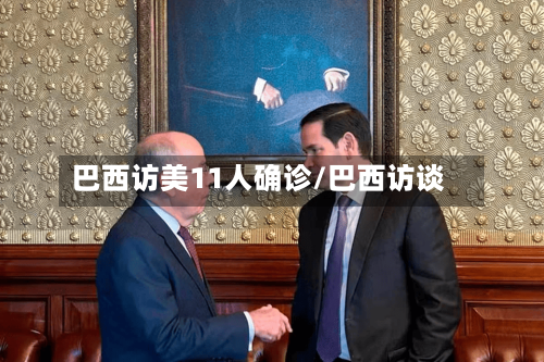 巴西访美11人确诊/巴西访谈