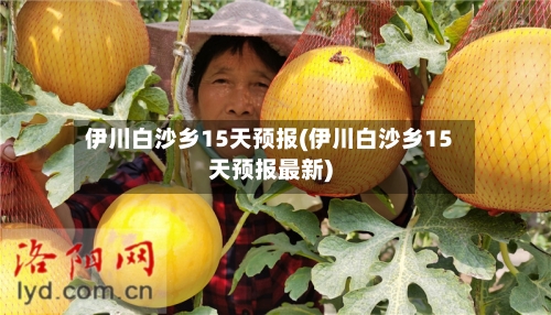 伊川白沙乡15天预报(伊川白沙乡15天预报最新)