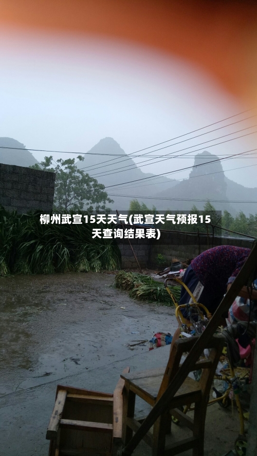 柳州武宣15天天气(武宣天气预报15天查询结果表)