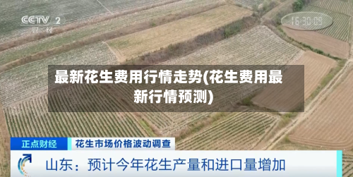 最新花生费用行情走势(花生费用最新行情预测)