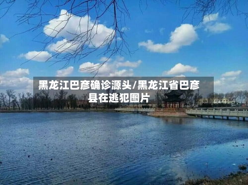 黑龙江巴彦确诊源头/黑龙江省巴彦县在逃犯图片