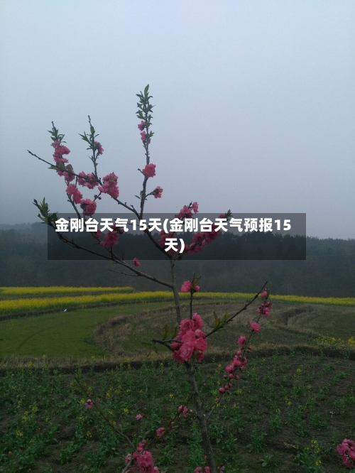 金刚台天气15天(金刚台天气预报15天)