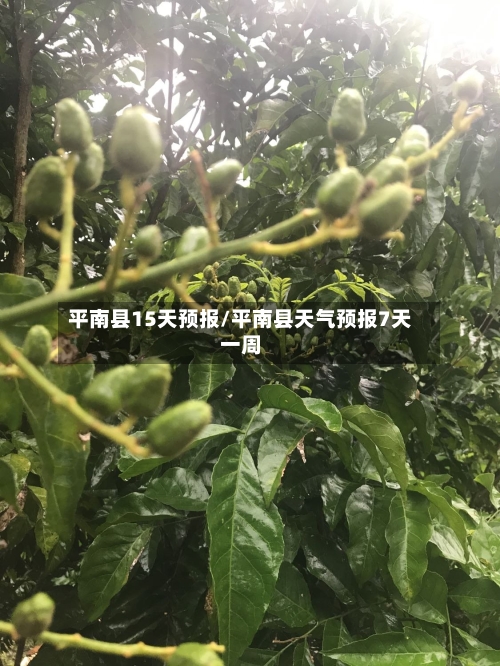 平南县15天预报/平南县天气预报7天一周