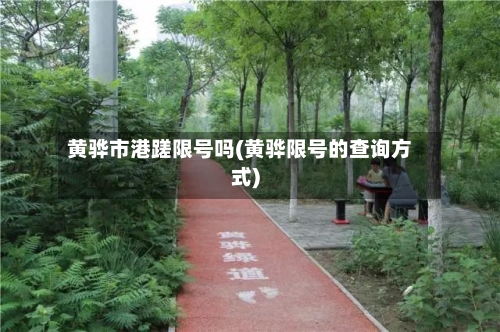 黄骅市港蹉限号吗(黄骅限号的查询方式)