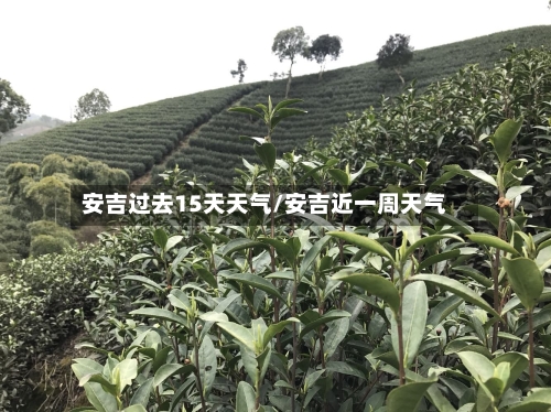 安吉过去15天天气/安吉近一周天气