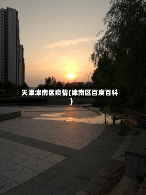 天津津南区疫情(津南区百度百科)