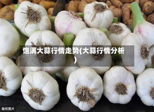 饱满大蒜行情走势(大蒜行情分析)