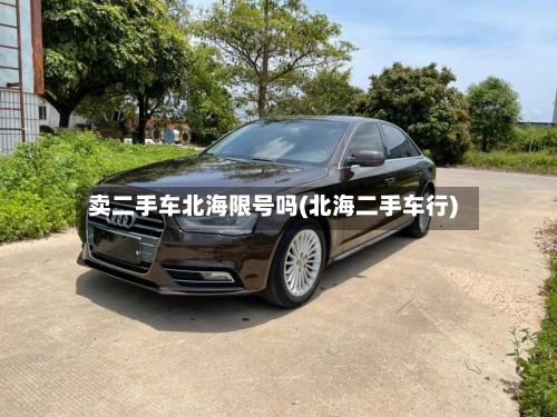 卖二手车北海限号吗(北海二手车行)