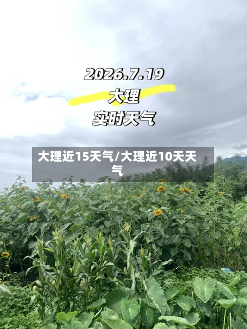 大理近15天气/大理近10天天气