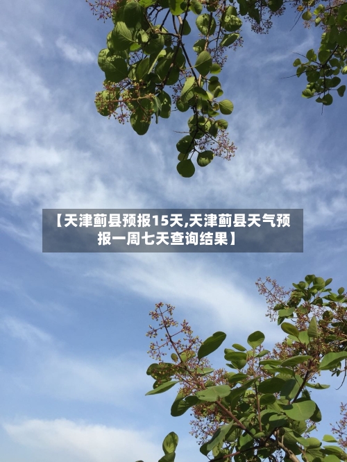 【天津蓟县预报15天,天津蓟县天气预报一周七天查询结果】