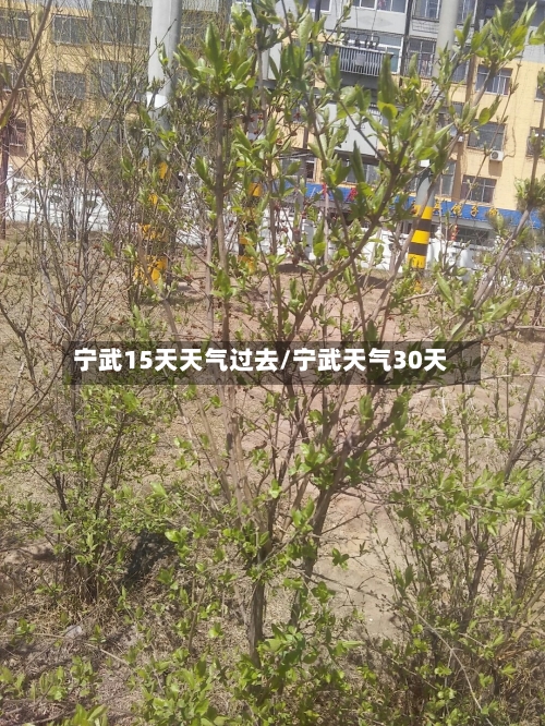 宁武15天天气过去/宁武天气30天