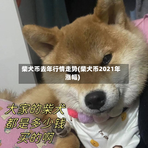 柴犬币去年行情走势(柴犬币2021年涨幅)