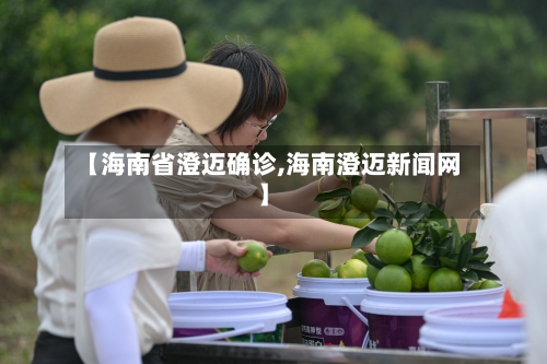【海南省澄迈确诊,海南澄迈新闻网】