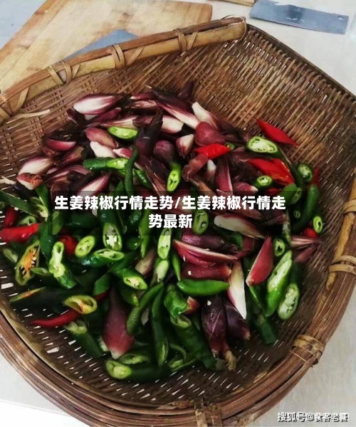 生姜辣椒行情走势/生姜辣椒行情走势最新