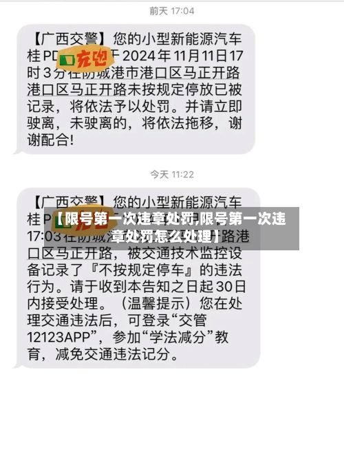 【限号第一次违章处罚,限号第一次违章处罚怎么处理】