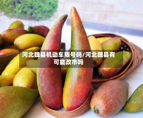 河北魏县机动车限号吗/河北魏县有可能改市吗