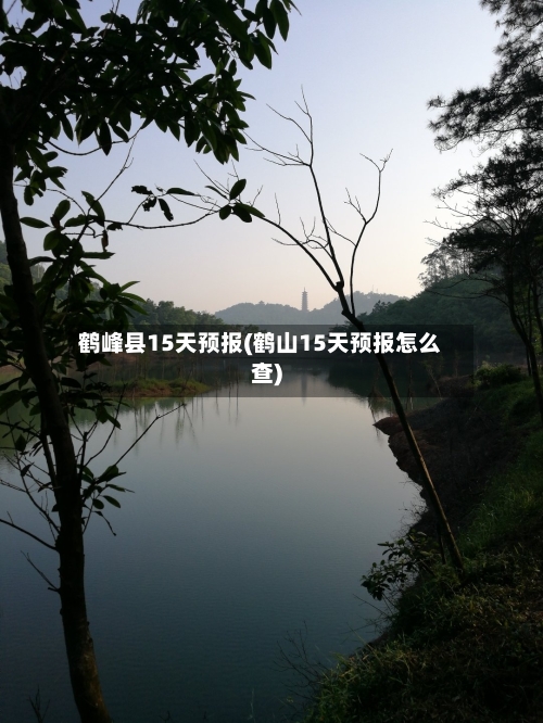 鹤峰县15天预报(鹤山15天预报怎么查)