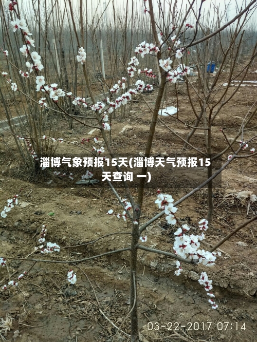 淄博气象预报15天(淄博天气预报15天查询 一)