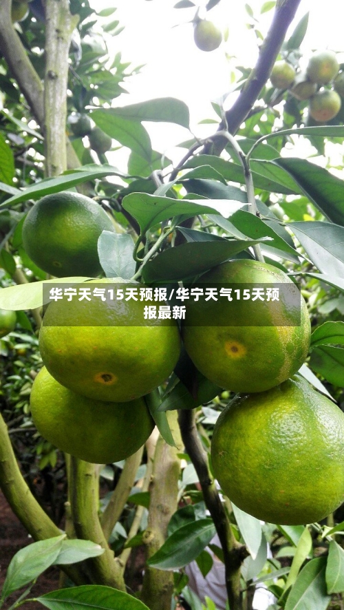 华宁天气15天预报/华宁天气15天预报最新