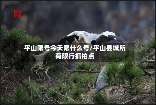 平山限号今天限什么号/平山县城所有限行抓拍点