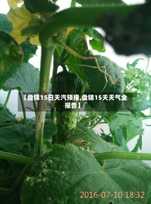 【盘锦15日天汽预报,盘锦15天天气全报告】