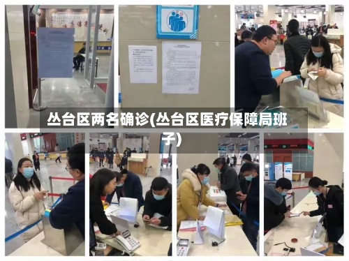 丛台区两名确诊(丛台区医疗保障局班子)
