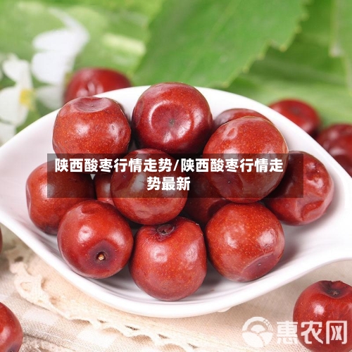 陕西酸枣行情走势/陕西酸枣行情走势最新