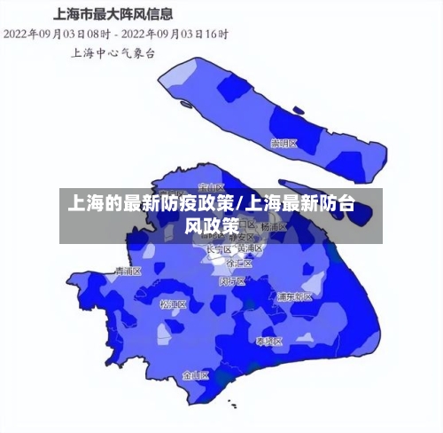 上海的最新防疫政策/上海最新防台风政策